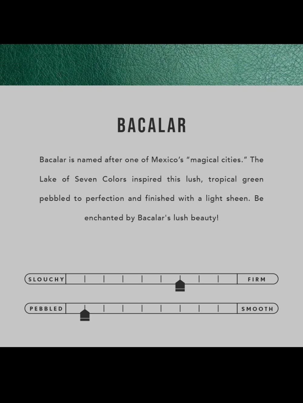 Portland Leather Goods Oversized Naomi Bacalar Green - Picture 14 of 16